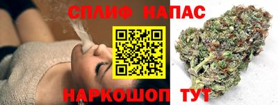 ECSTASY Аша