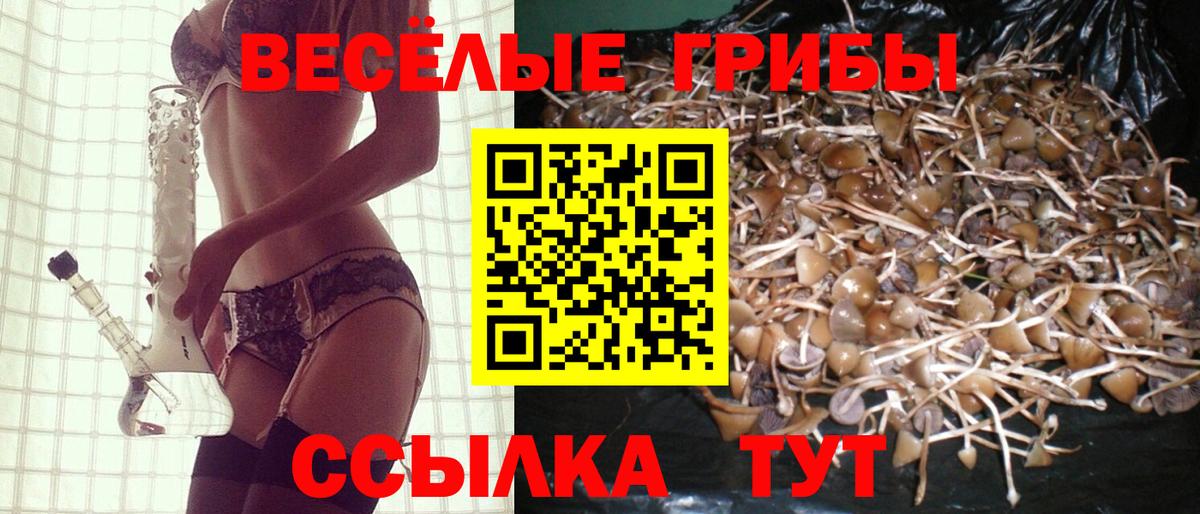 Галлюциногенные грибы GOLDEN TEACHER  Псилоцибиновые грибы мицелий  Белебей  Вход с VPN 